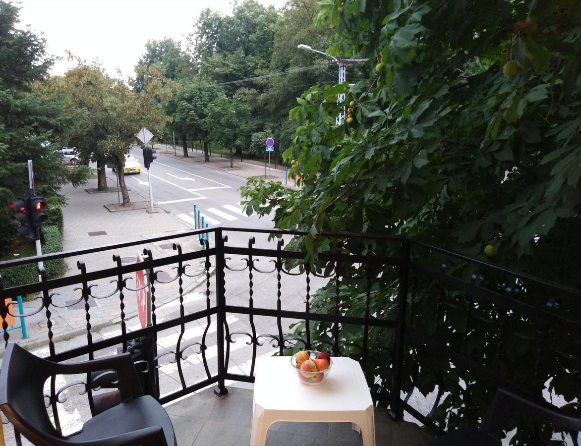 Villa Veliki Park Sabac